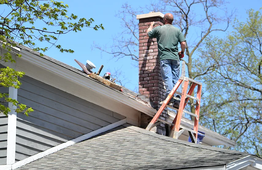 Chimney & Fireplace Inspections Services in Union City, CA